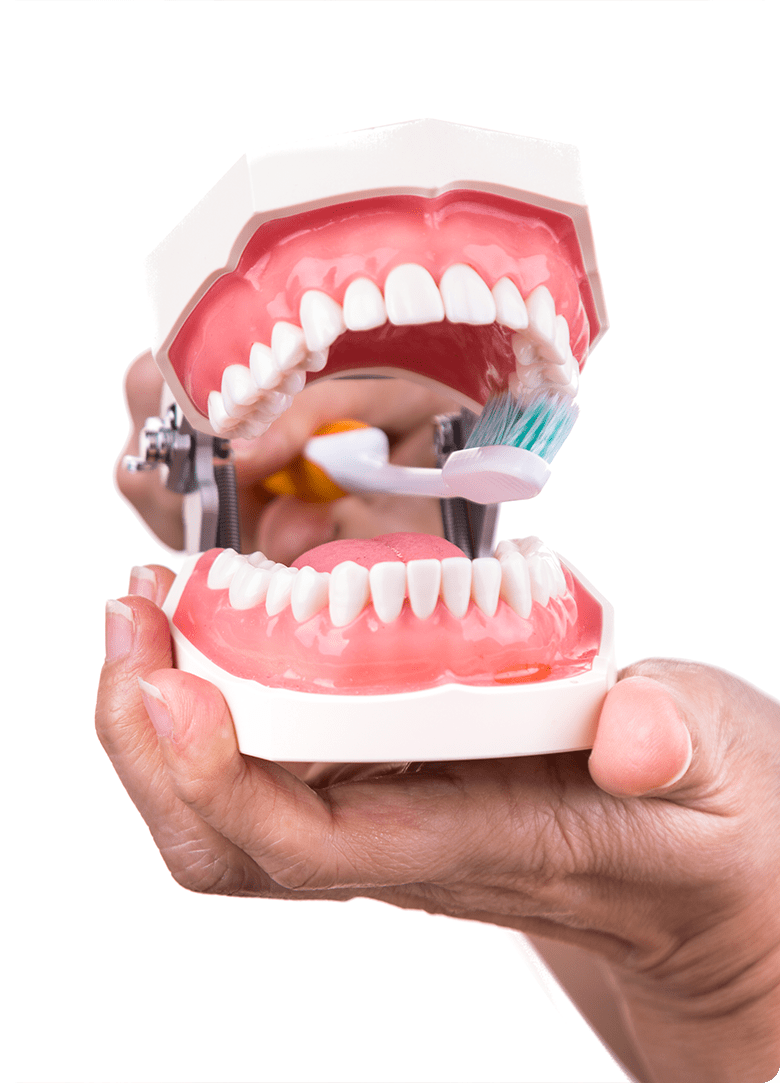 home_healthy_pic24-min